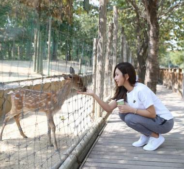 [스타SNS] 예정화, 사슴과 단란한 한 때 공개…‘사슴이 둘이네’