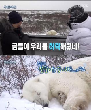 [예능리뷰] ‘무한도전’ 정준하-박명수, 북극곰과 교감했다
