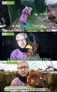 [예능리뷰] ‘생방송 투데이’, 연 매출 3억의 상황버섯 농가 전격 방문