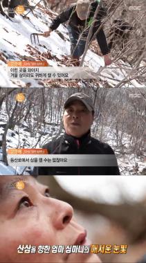 [방송리뷰] ‘리얼스토리 눈’, 35년차 심마니 그녀가 매일 산에 오르는 이유는?