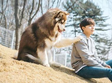 [스타SNS] ‘외모지상주의’ 실제 모델 장현, 대형견과 투샷 ‘멍뭉미 발산’