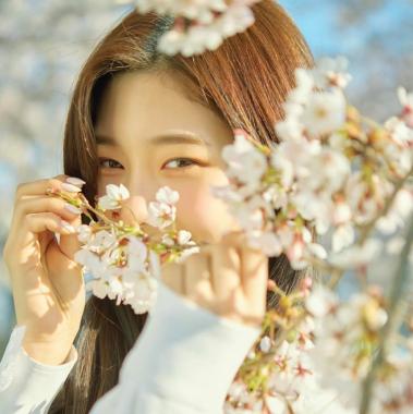 [스타SNS] 다이아(DIA) 정채연, 인간벚꽃다운 모습 “예쁘다”