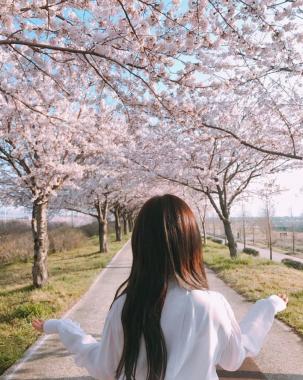 [스타SNS] 다이아(DIA) 정채연, 역시 인간 벚꽃…‘못찾겠다 정채연’