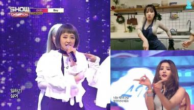 ‘짤부자’ 이엑스아이디(EXID), 공감가는 짤들 ‘화제’