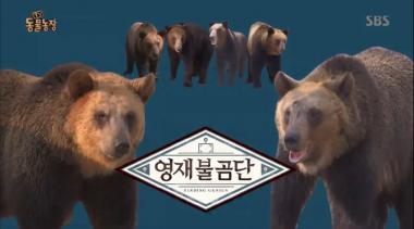 [예능리뷰] ‘동물농장’, 곰 사파리 불꽃튀는 신구대결…‘영재줄곰발굴단’