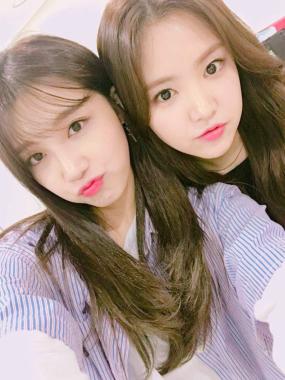 [스타 트위터] ‘한끼줍쇼’ 에이핑크 정은지-손나은, ‘투은 미모 실화입니까’