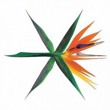 엑소(EXO), 새 앨범 로고 공개… ‘극락조화, ‘KOKOBOP’