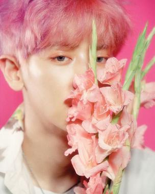 [스타근황] 엑소(EXO) 찬열, 핑크빛 몽환적인 분위기…‘찬열이는 요정이지?’