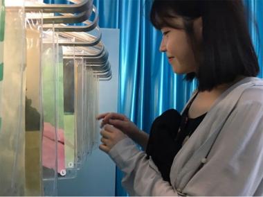 [스타근황] ‘효리네민박’ 아이유, 여리여리 귀여운 미소…‘에뻐, 예뻐’