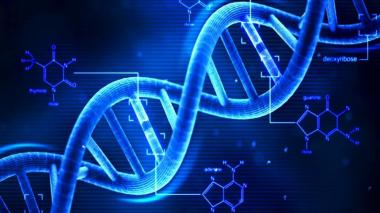 유전자가위 무엇?… ‘손상된 DNA를 잘라내는 기술’