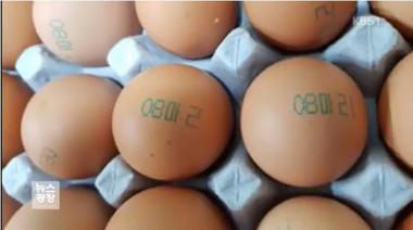 부자특란·신선대 홈플러스 계란 부펜트린 검출… ‘11시온 13정화 표기 주의’