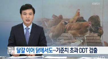닭에서도 DDT 검출, DDT란?…‘살충제이자 농약-섭취 시 암 유발’