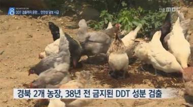 DDT 검출, 돼지나 소는 안전한가?…‘계란에 이어 닭에서도 검출돼 불안감 고조’