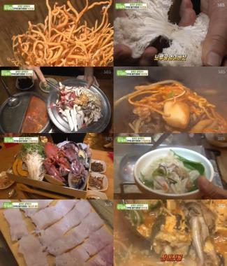 [리뷰] ‘생방송투데이’ 강동구 버섯전골, 조갈찜, 참장어 샤브샤브 맛집 국물요리 향연