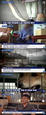 ‘JTBC온에어-뉴스룸’, 진돗개 숭배집단 ‘진돗개교’의 실체 폭로