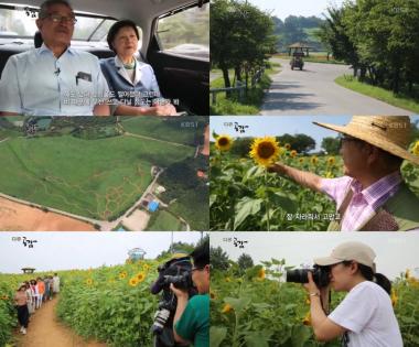 [리뷰]‘다큐공감 ’진영호, 고창군 청보리, 해바라기, 메밀 축제를 맞이하다