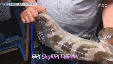 [리뷰] ‘생방송 오늘 저녁’ 제주 다금바리, 5kg에 백만원 육박…‘3마리는 200만원’