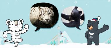 ‘평창 동계올림픽’ 마스코트, 백호와 반달곰 모티브…‘수호랑과 반다비’