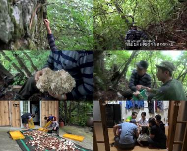 [리뷰] ‘다큐공감’ 지리산 와운마을 공안수씨댁 산중 일상 공개