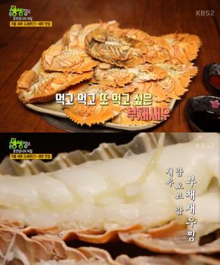 [리뷰] ‘생생정보-문전성시의 비밀’ 가을 새우 드새우…부채 새우 맛집 어디?