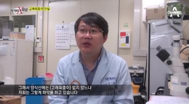 고래회충, 어떤 음식을 주의해야 하나?…‘복막염이나 장폐색 가능성도’