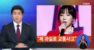 태연, 교통사고 반려견 무관…‘본인 과실’로 인한 교통사고 인정