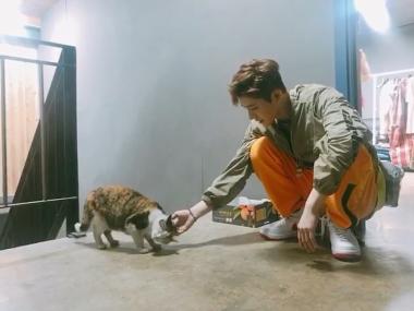 [근황] ‘인기가요 출연’ 아이콘(iKON) 비아이(B.I), “맘빈이 고양이와 인사하는 법”